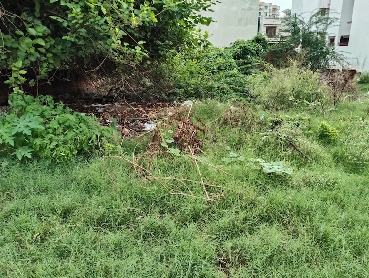 undefined, gomti nagar  1935 Sq.Ft. Plot In Gomti Nagar Lucknow 9018016