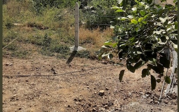 Plot For Sale in Fortune Residency Wagholi, Wagholi