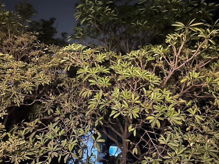 undefined, ajnara-homes 2 Bedroom 1160 Sq.Ft. Apartment In Sector 16b Greater Noida Greater Noida 9018608