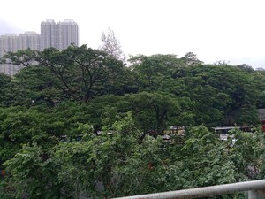 2 BHK Apartment – Garden View at Conwood Enclave, Vasant Vihar - for Sale