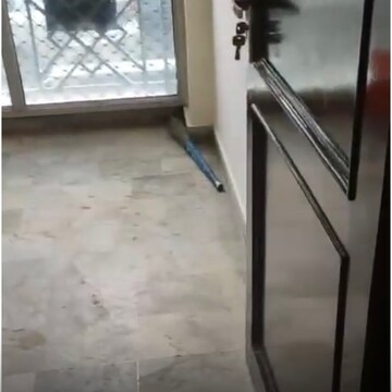 Balcony in 2 BHK Builder Floor at Lajpat Nagar ii – for Rent