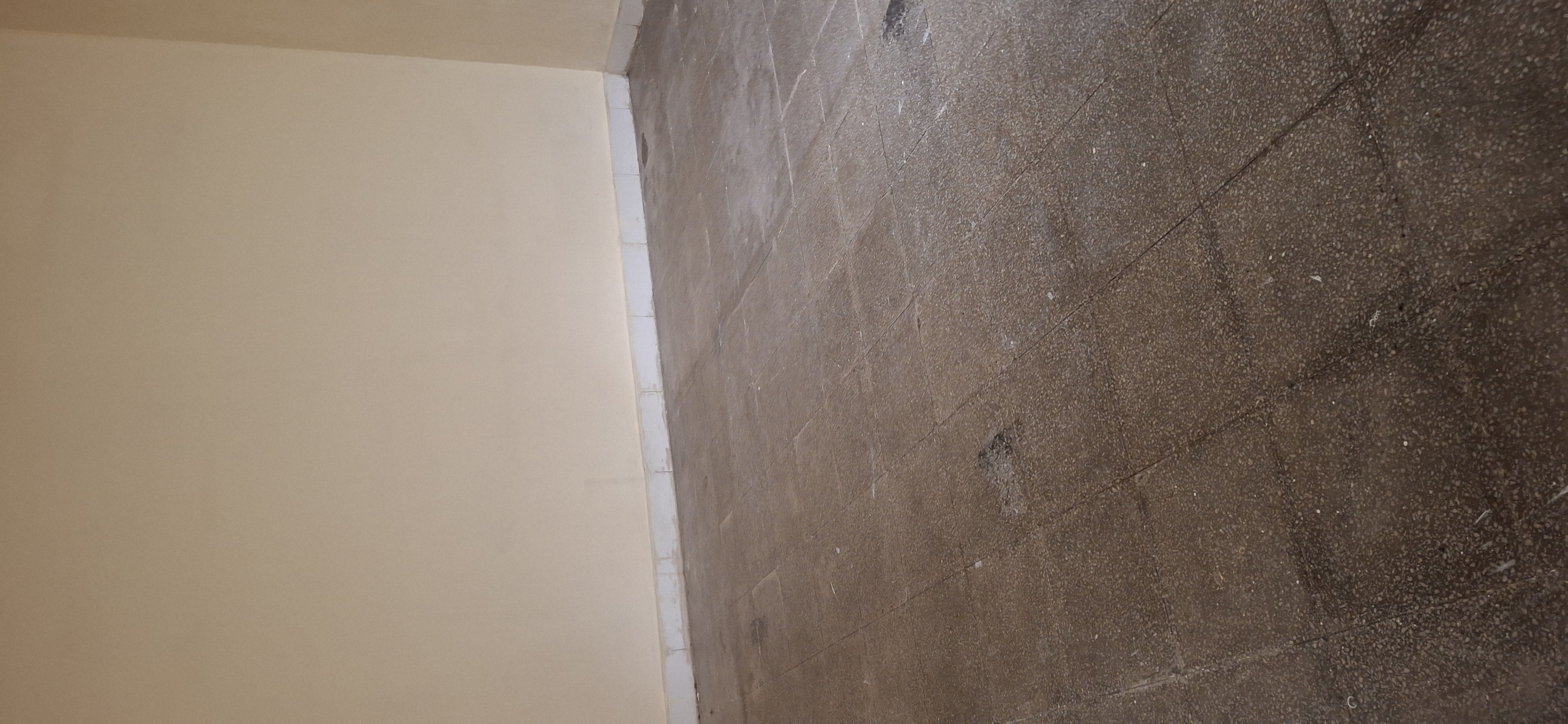 1 BHK Apartment For Rent in Amresh Property Ghansoli 