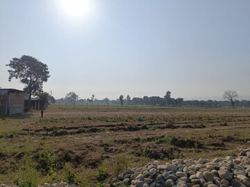  Plot For Sale in Patwari