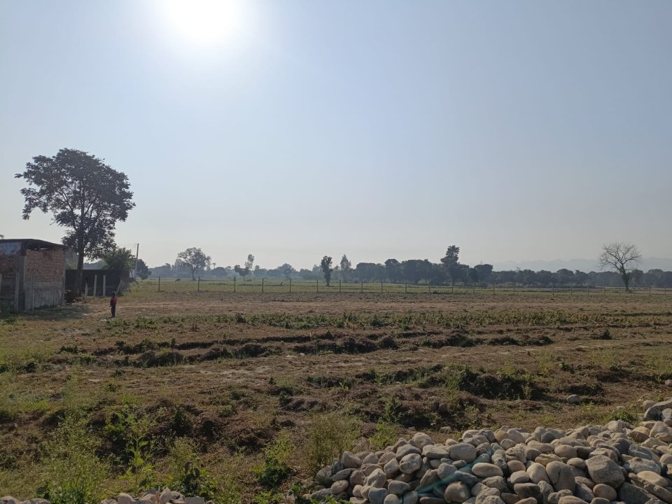 Plot For Sale in Patwari