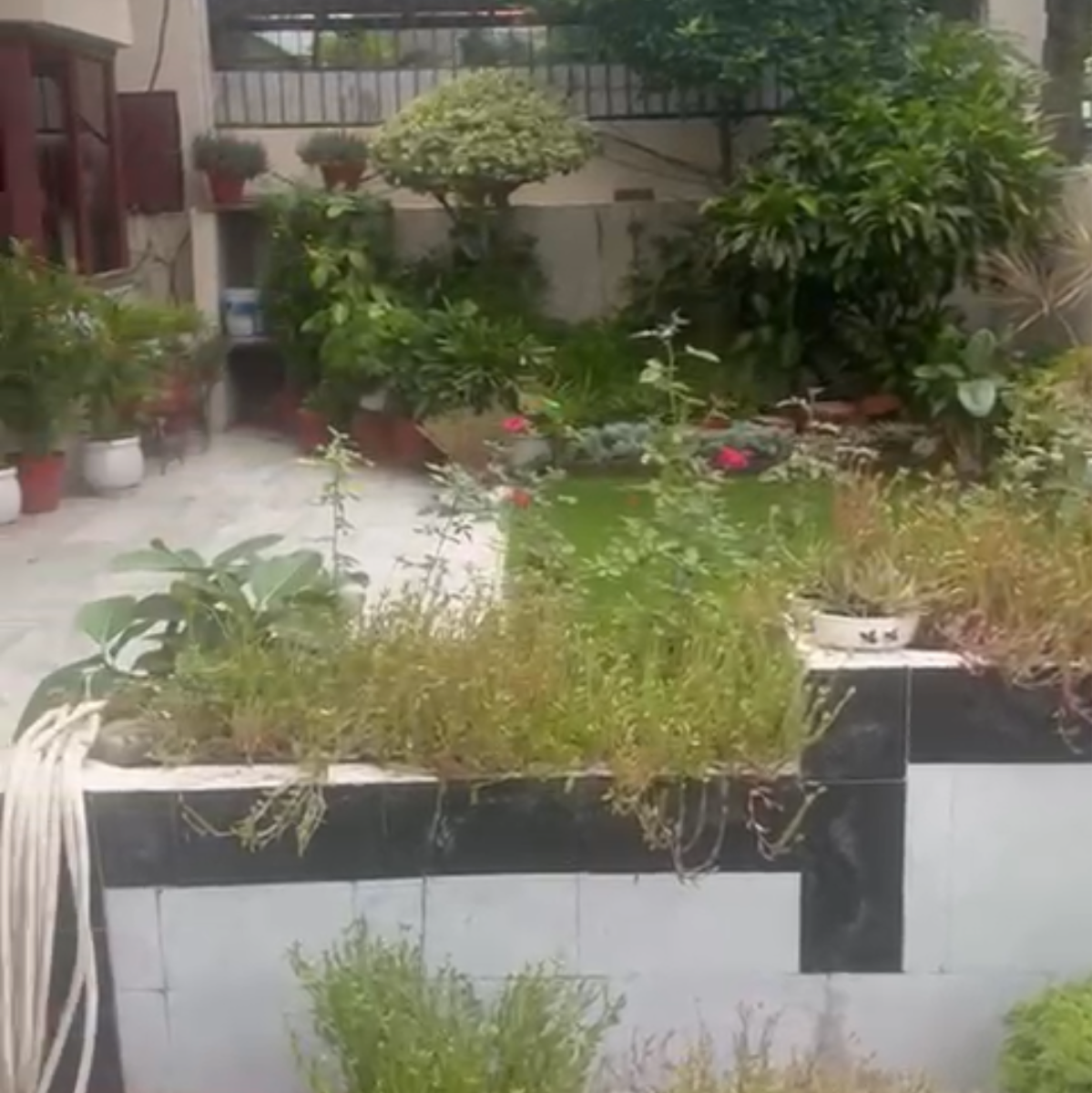 3.5 BHK + Extra Room 4200 Sq.Ft. Independent House in The Nest Noida