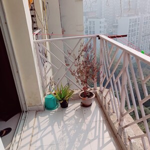 Balcony in 3 BHK Apartment at Sector 50 – for Sale