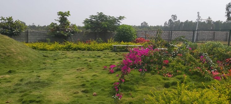 Garden, skh-echium  1500 Sq.Ft. Plot In Whitefield Bangalore 9016937