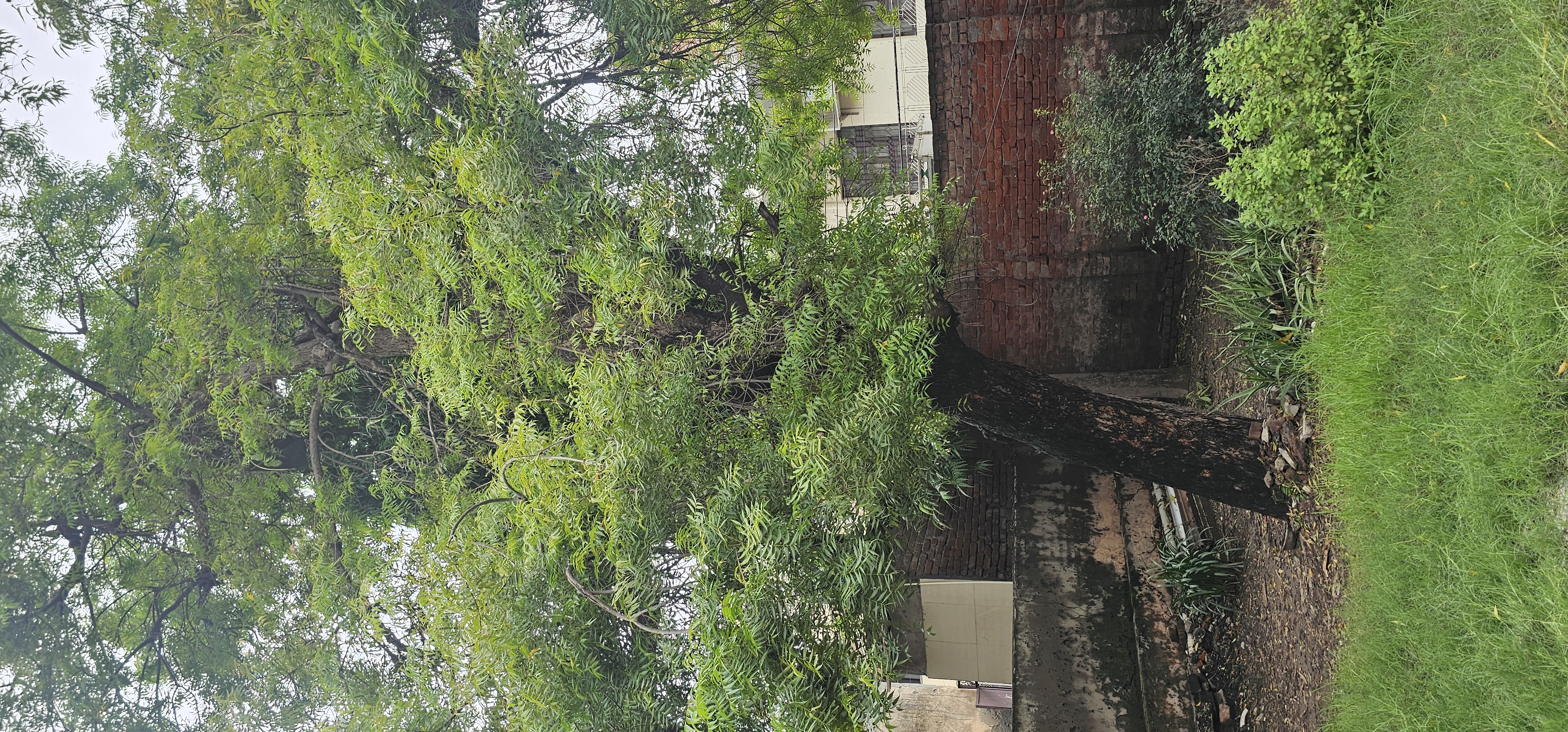 Plot For Sale in SGM Nagar