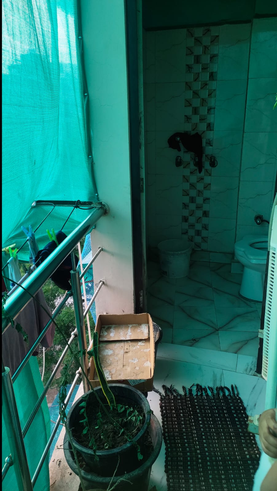 2 BHK + Study Room Builder Floor For Rent in Vipin Garden