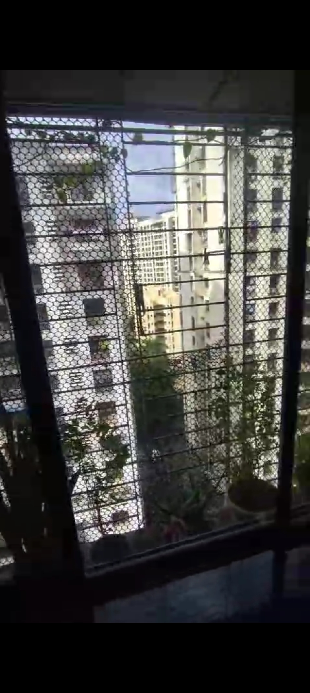 3 BHK Apartment For Sale in Prishty  Krishna Valley