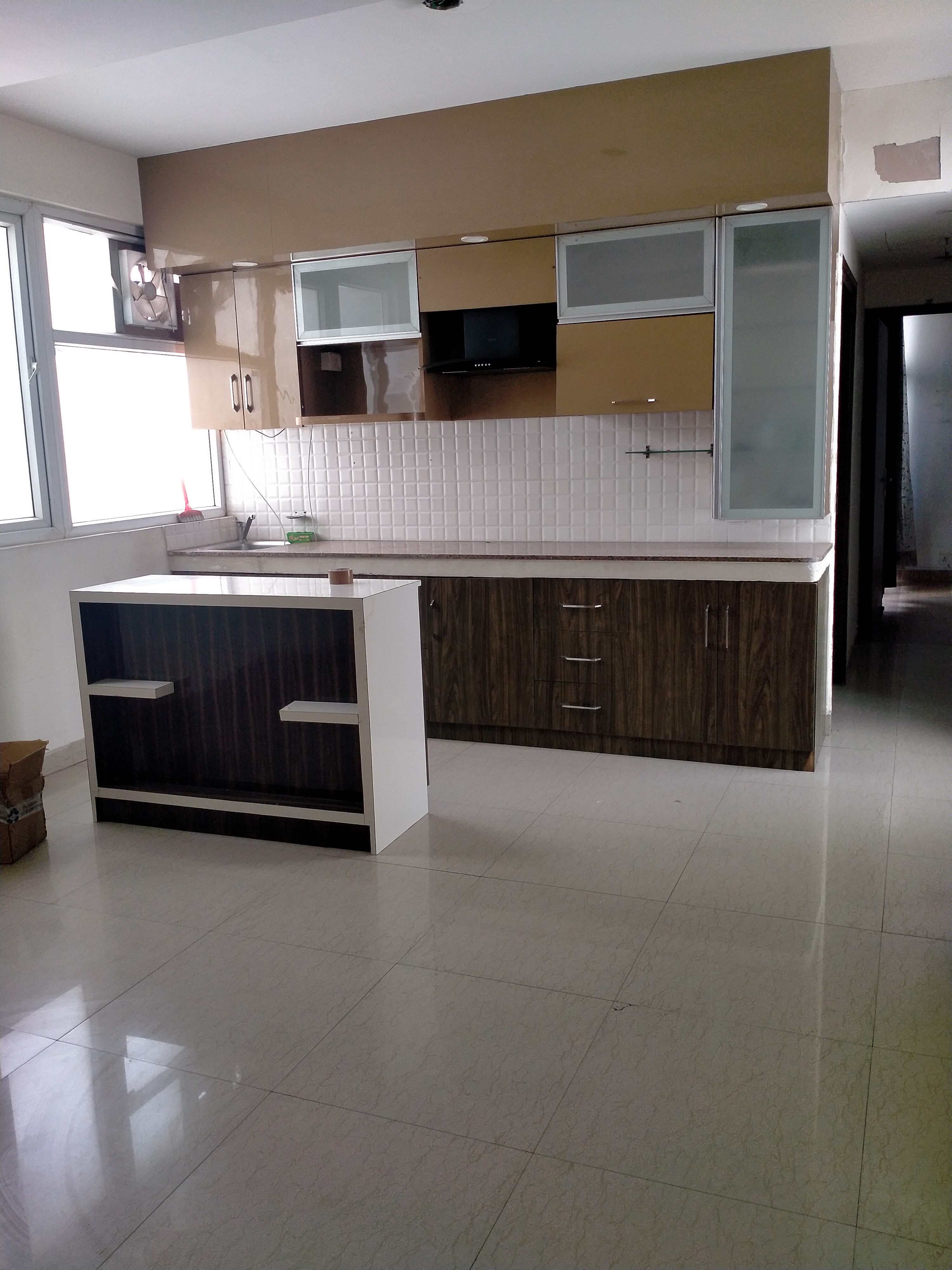 2 BHK Apartment For Rent in Tulip Lemon
