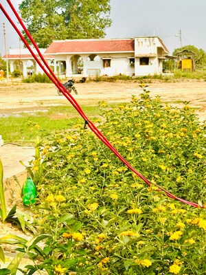  Plot – Exterior View View at Gomti Nagar - for Sale