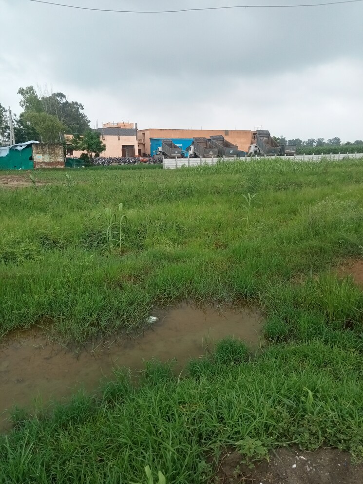 Exterior View, mehrana Commercial Land 1240 Sq.Ft. In Mehrana Panipat 9020072