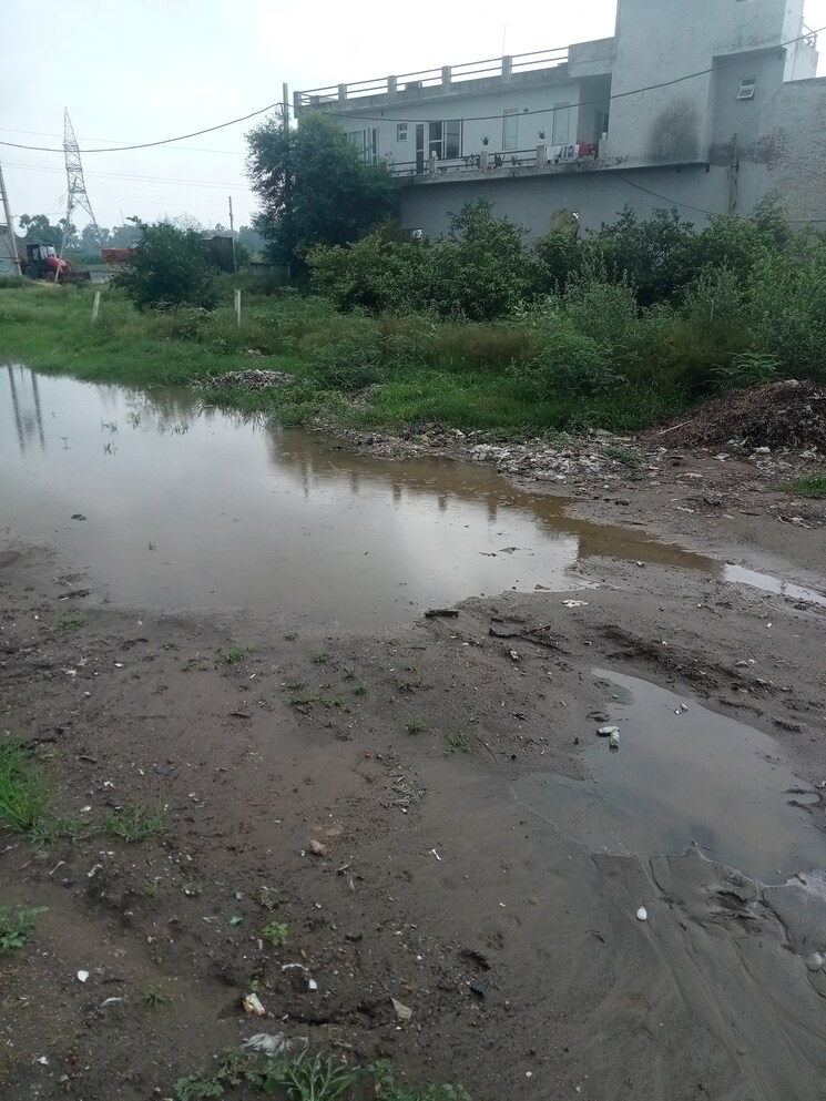 undefined, mehrana Commercial Land 1240 Sq.Ft. In Mehrana Panipat 9020072