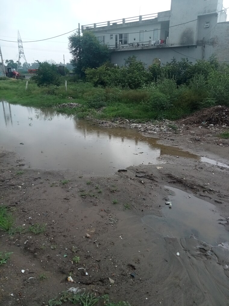 undefined, mehrana Commercial Land 1240 Sq.Ft. In Mehrana Panipat 9020072