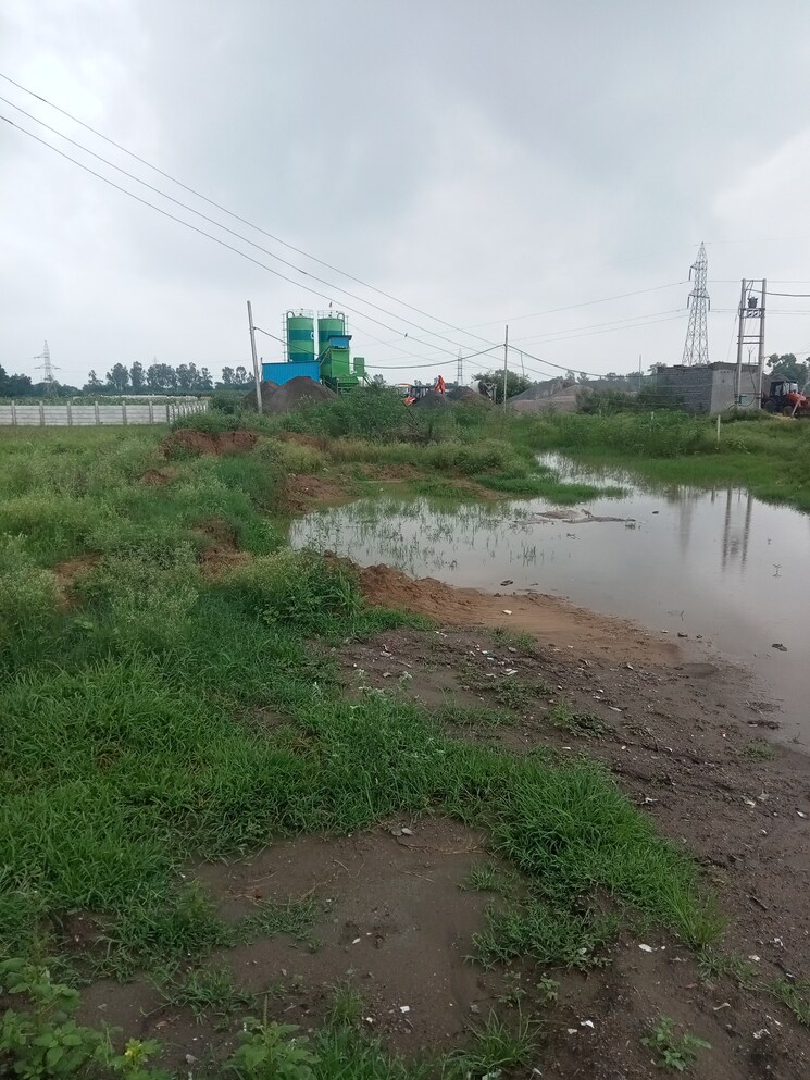 undefined, mehrana Commercial Land 1240 Sq.Ft. In Mehrana Panipat 9020072