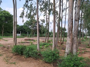  Land For Sale in Budigere Cross