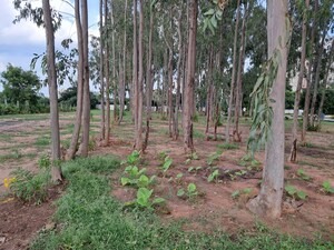 Plot Area in  Land at Budigere Cross – for Sale