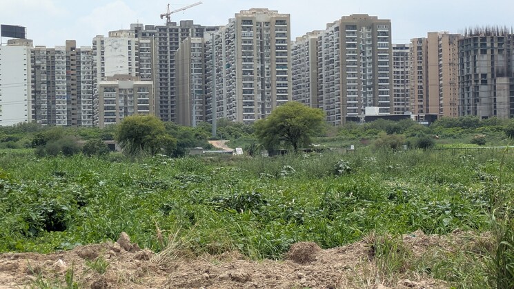 Exterior View, sector 130  250 Sq.Yd. Plot In Sector 130 Noida 9019731