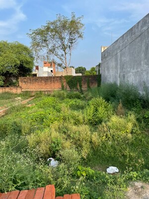 Plot Area in  Plot at Kamta – for Sale