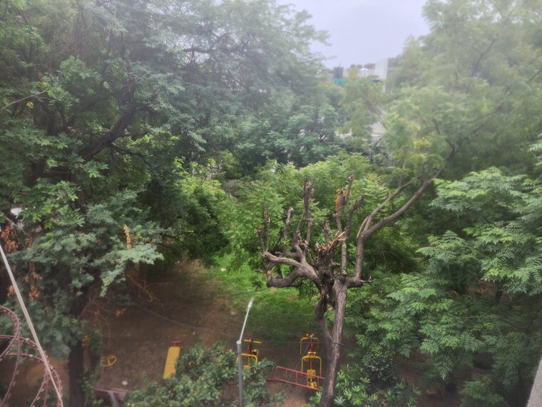 Garden, vasant kunj 4 Bedroom 2500 Sq.Ft. Apartment In Vasant Kunj Delhi 9020636