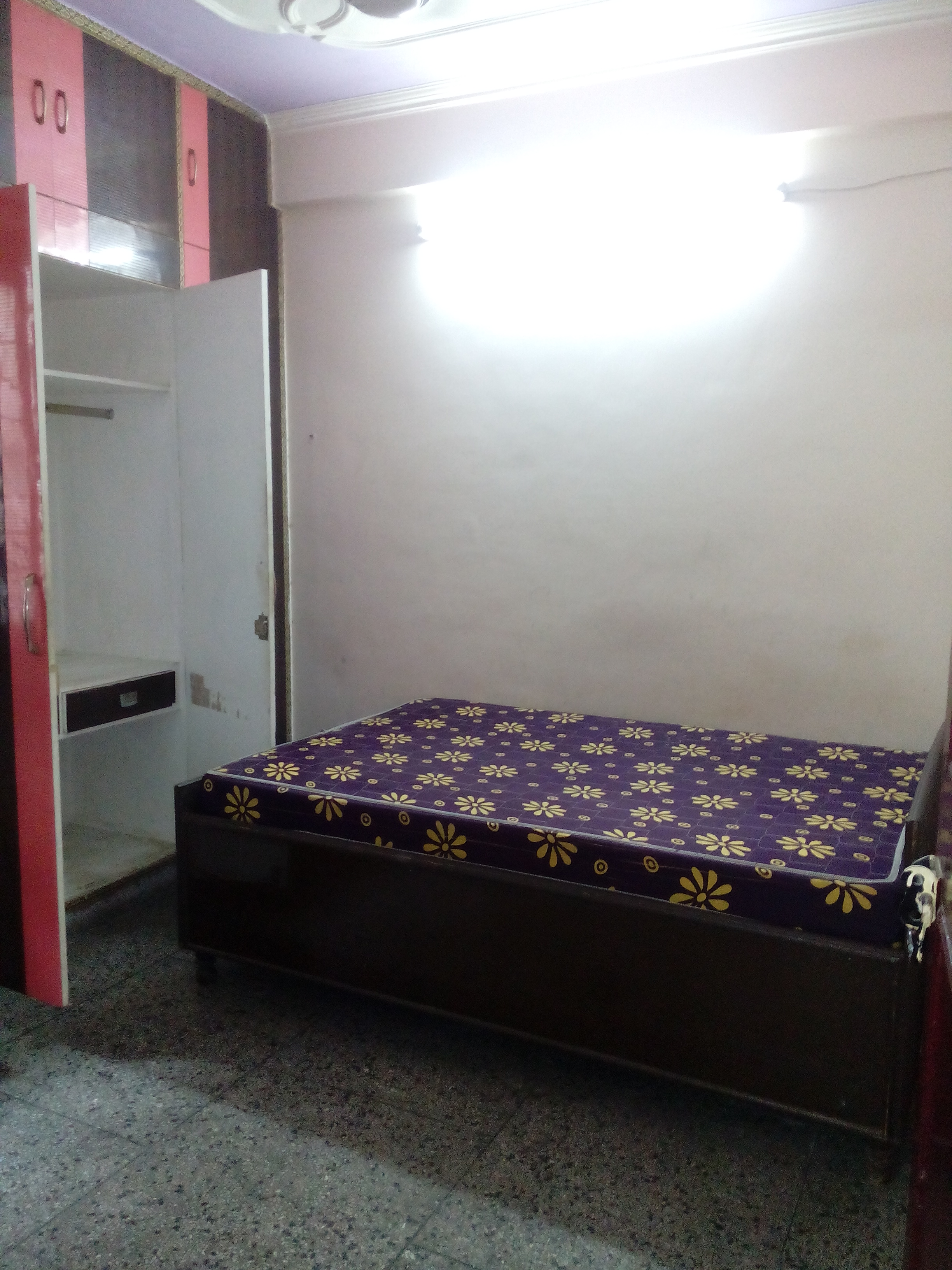 1 BHK Apartment For Rent in Molarband