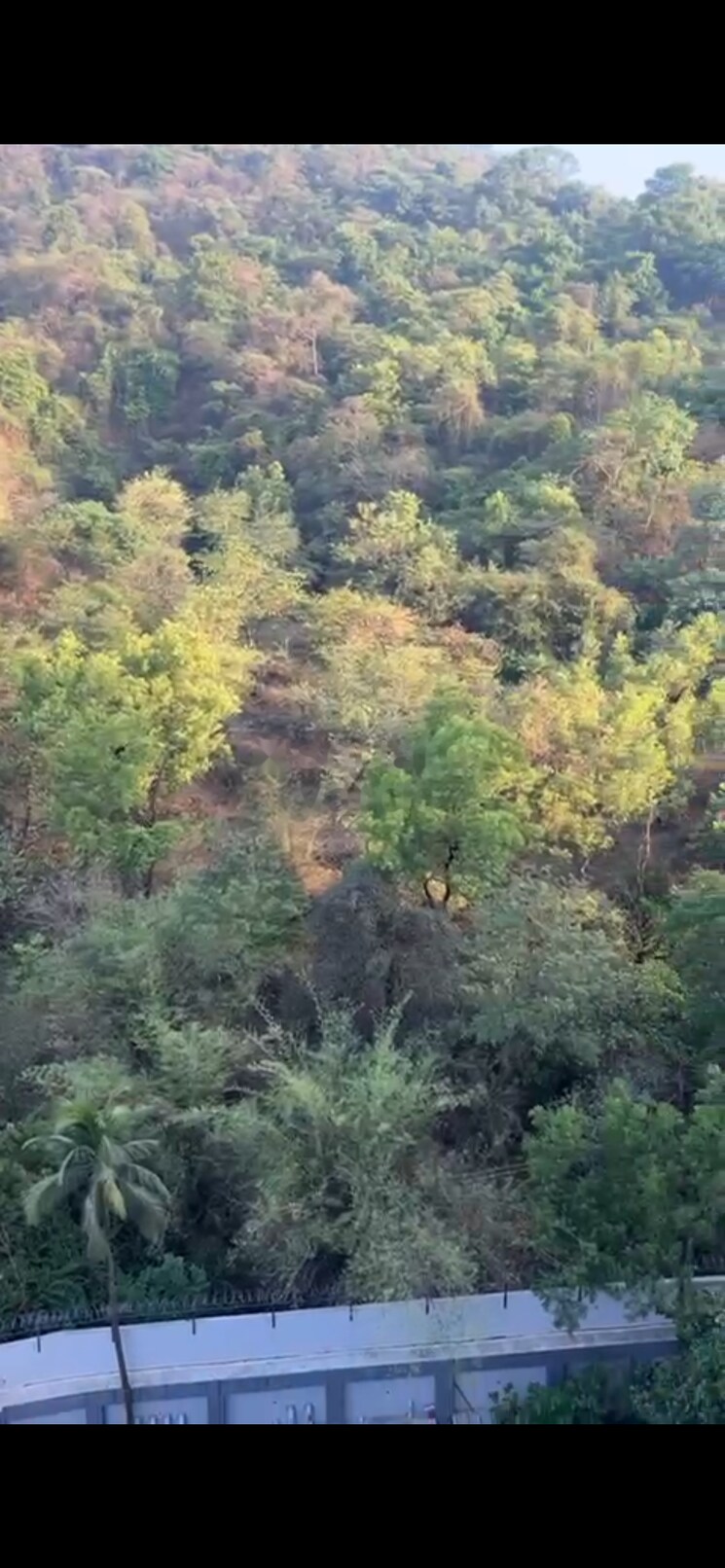 Garden, damji-shamji-mahavir-tower 2 Bedroom 653 Sq.Ft. Apartment In Mulund West Mumbai 9020769