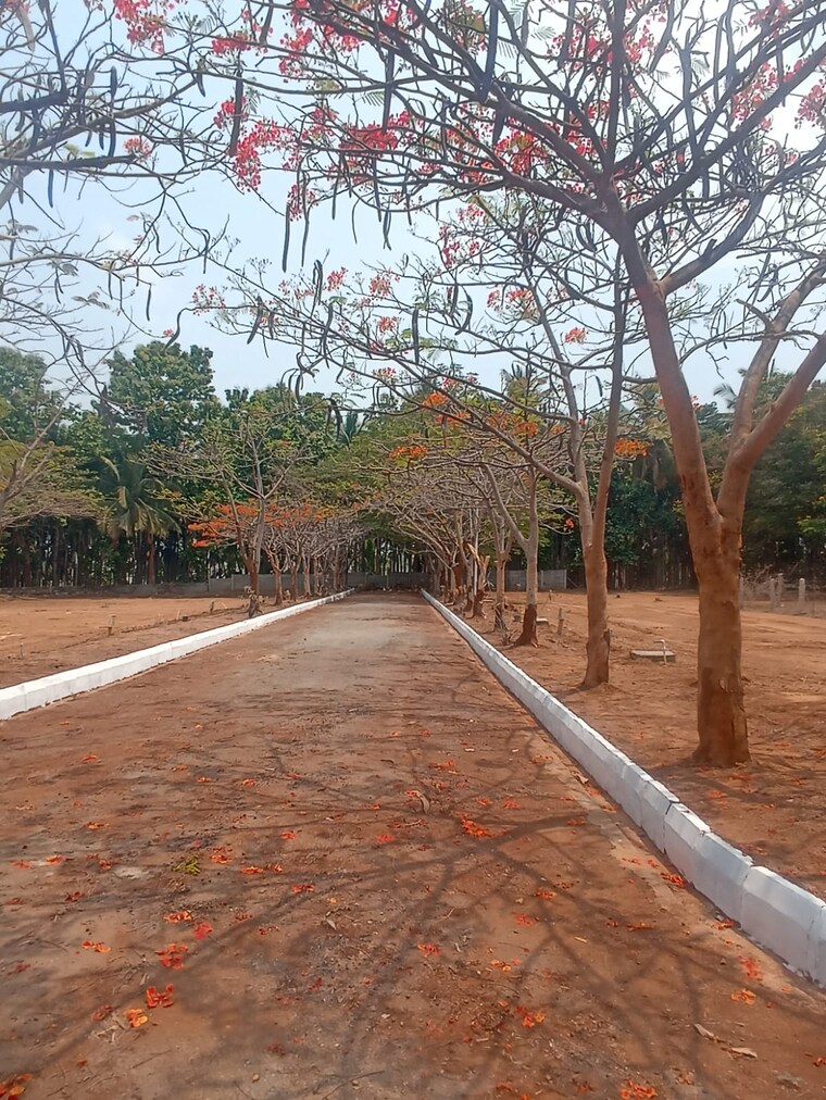 Exterior View, sai-ananda-nilaya  1200 Sq.Yd. Plot In Jigani Bangalore 9020843