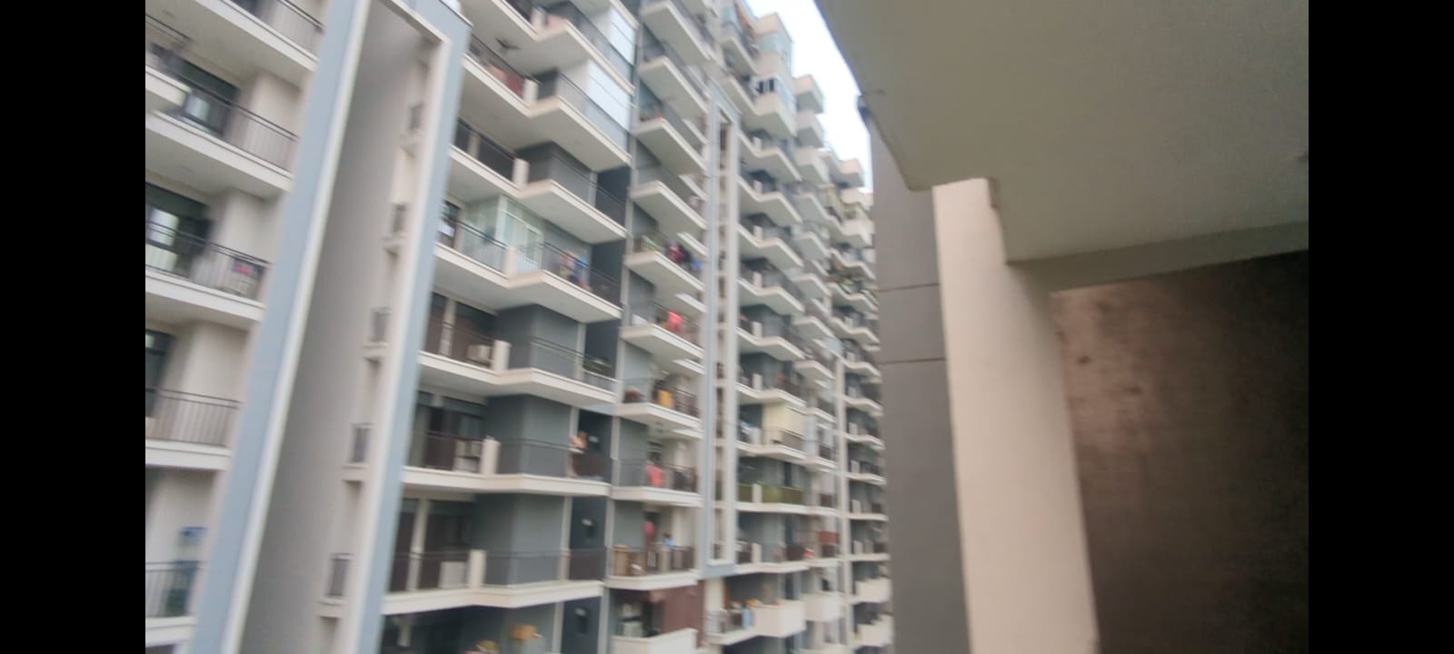 3 BHK Apartment For Rent in Terra Lavinium