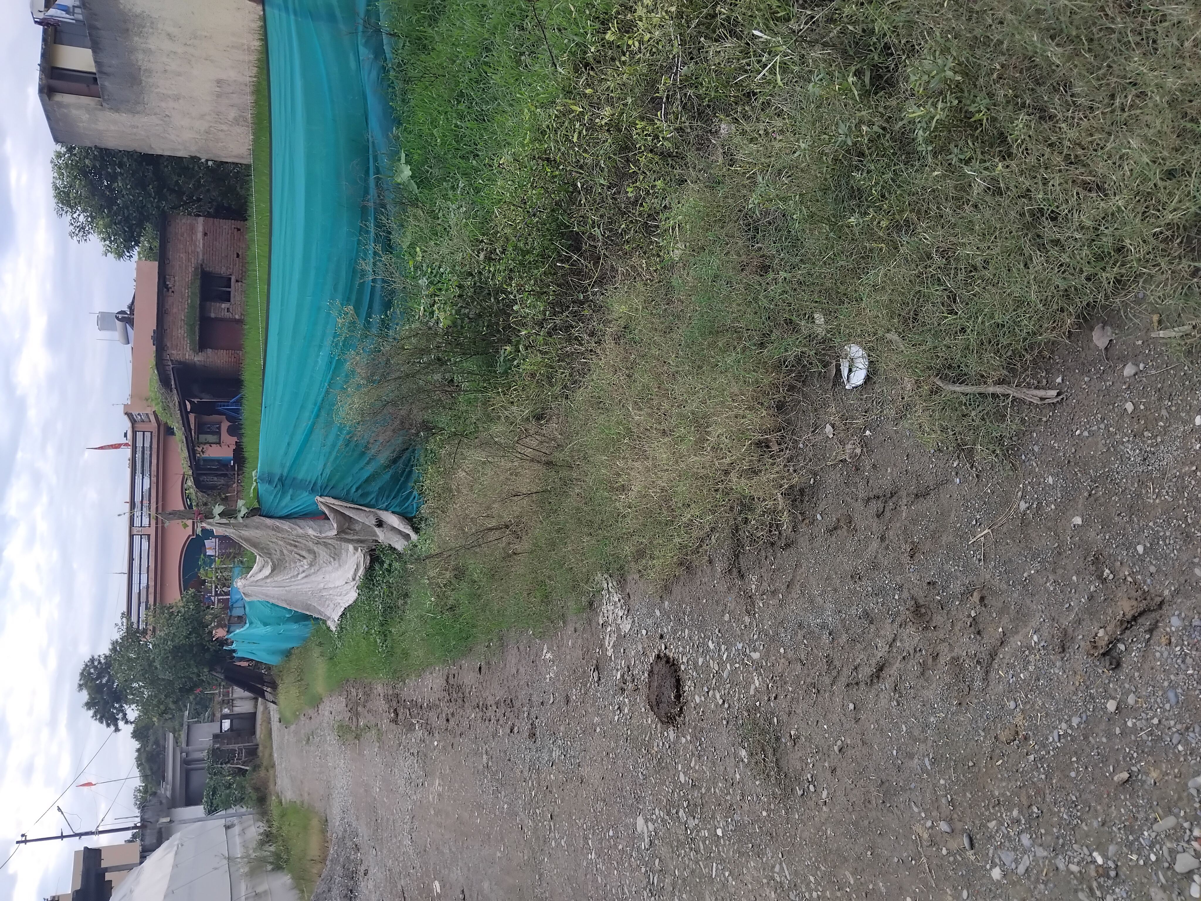 Plot For Sale in Baniyawala Premnager Dehr