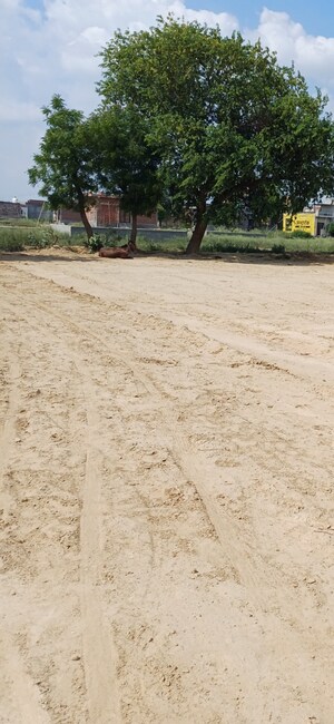  Plot – Exterior View View at Dheeraj Nagar - for Sale