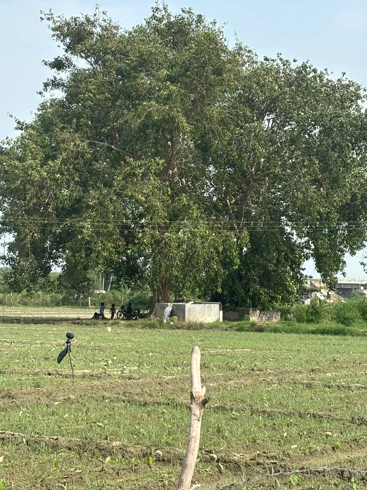 undefined, bhopani  50 Sq.Yd. Plot In Bhopani Faridabad 9021312