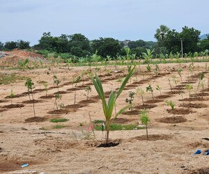  Plot For Sale in Fortune Butterfly City, Kadthal