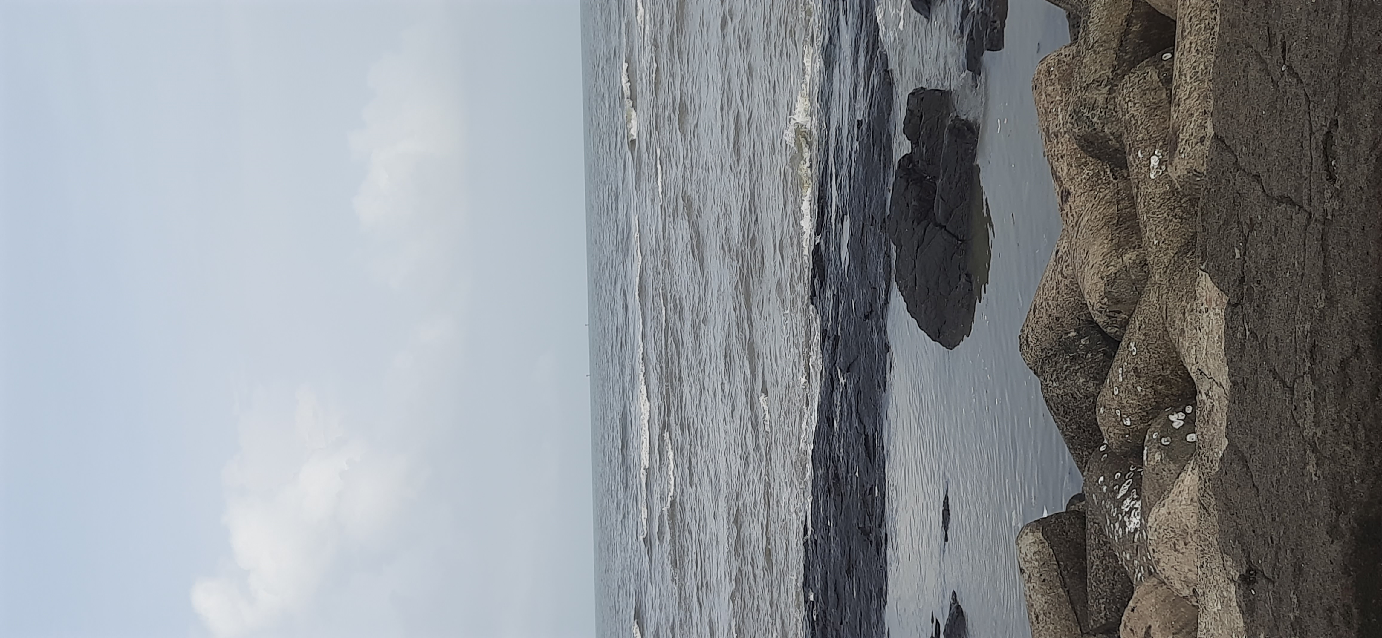 3 BHK + Servant Room Apartment For Rent in Sea View Apt.