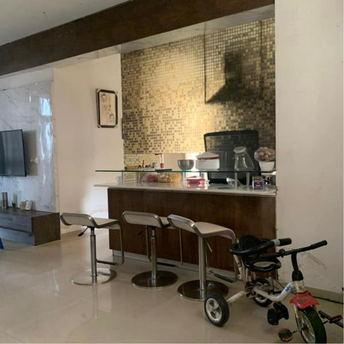 3 BHK Apartment For Rent in Piedmont Taksila Heights