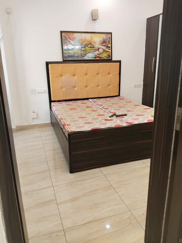 3 BHK Builder Floor For Rent in Apex Apartments, Sector 45