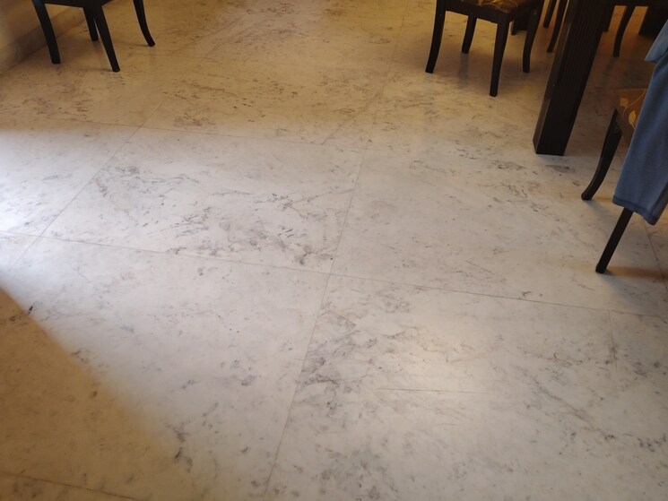 Room, sector 21c 3 Bedroom 1650 Sq.Ft. Apartment In Sector 21c Faridabad 9022811