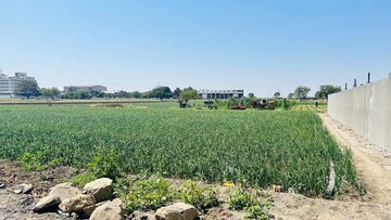 Plot Area in  Land at Rau Road – for Sale