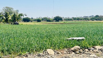  Land For Sale in Rau Road