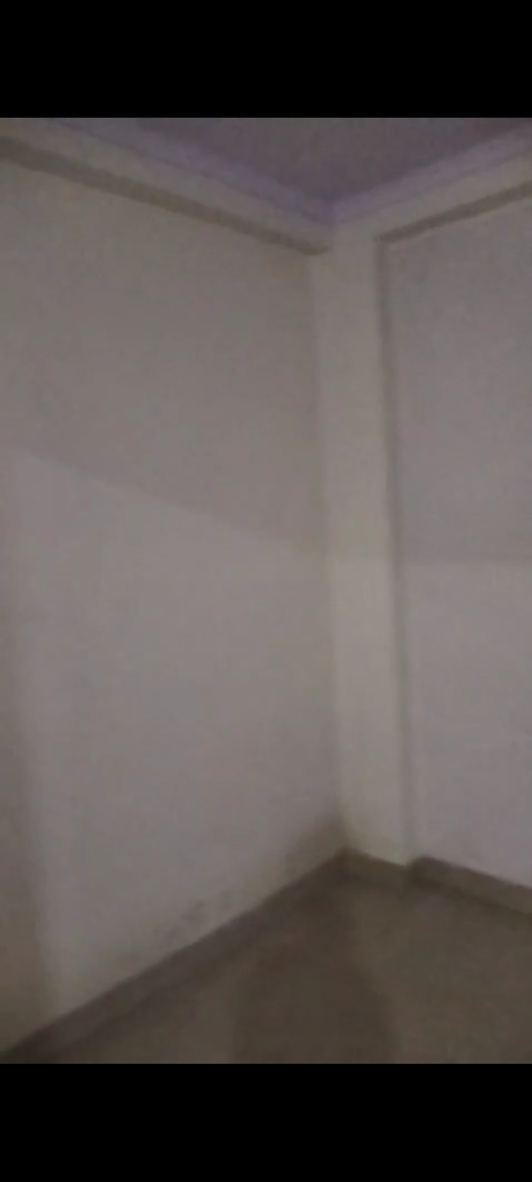 2 BHK Builder Floor For Rent in New Ashok Nagar