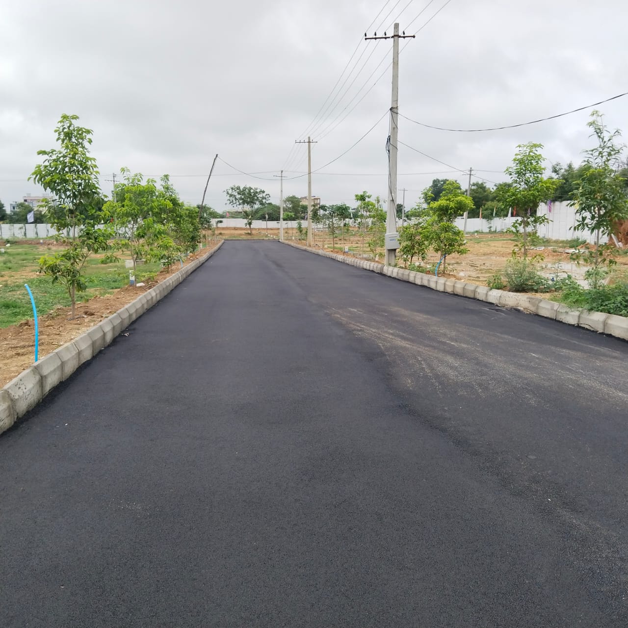 Plot For Sale in Narepally