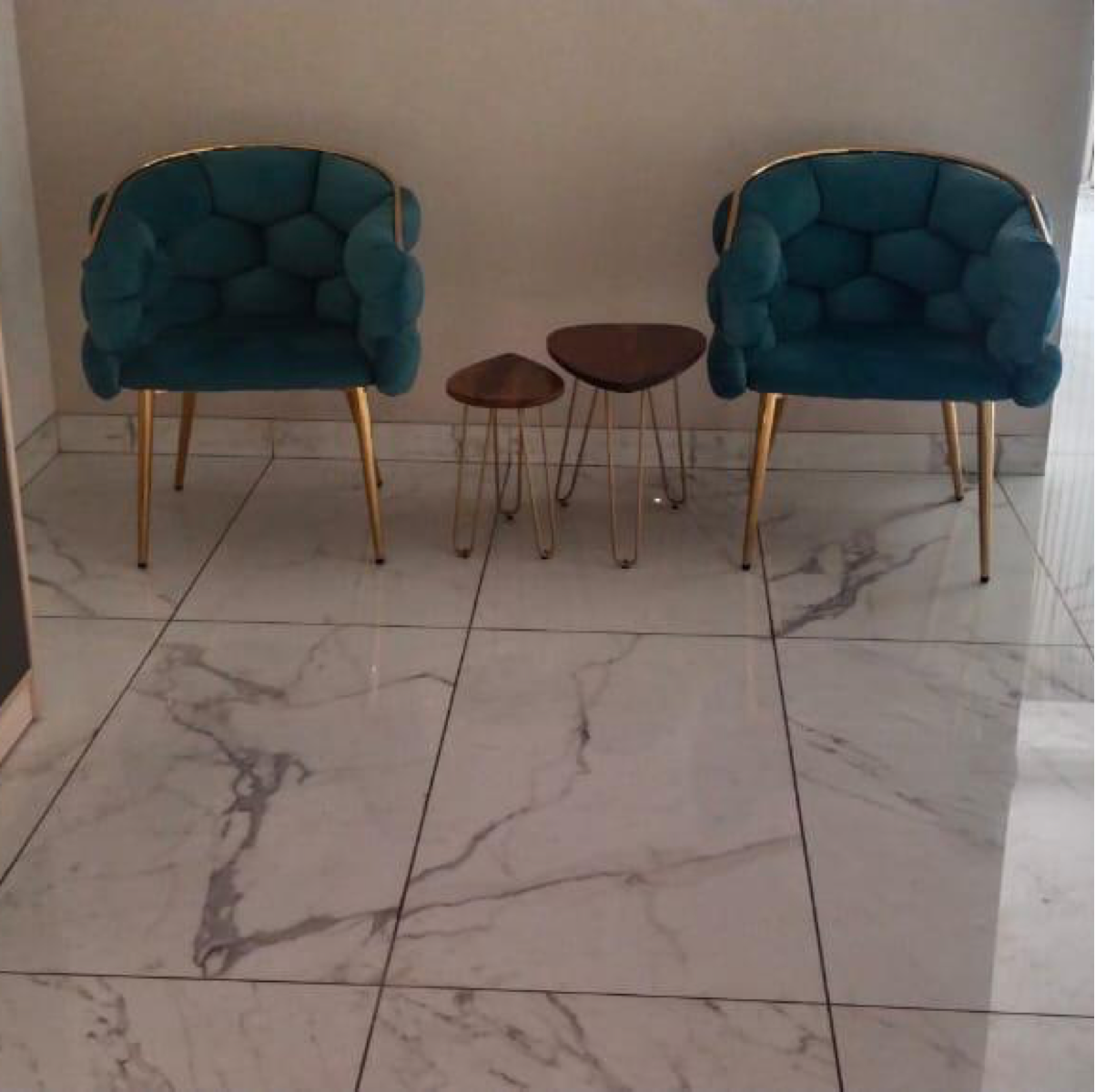 5 BHK + Pooja Room,Servant Room Builder Floor For Sale in Sector 14