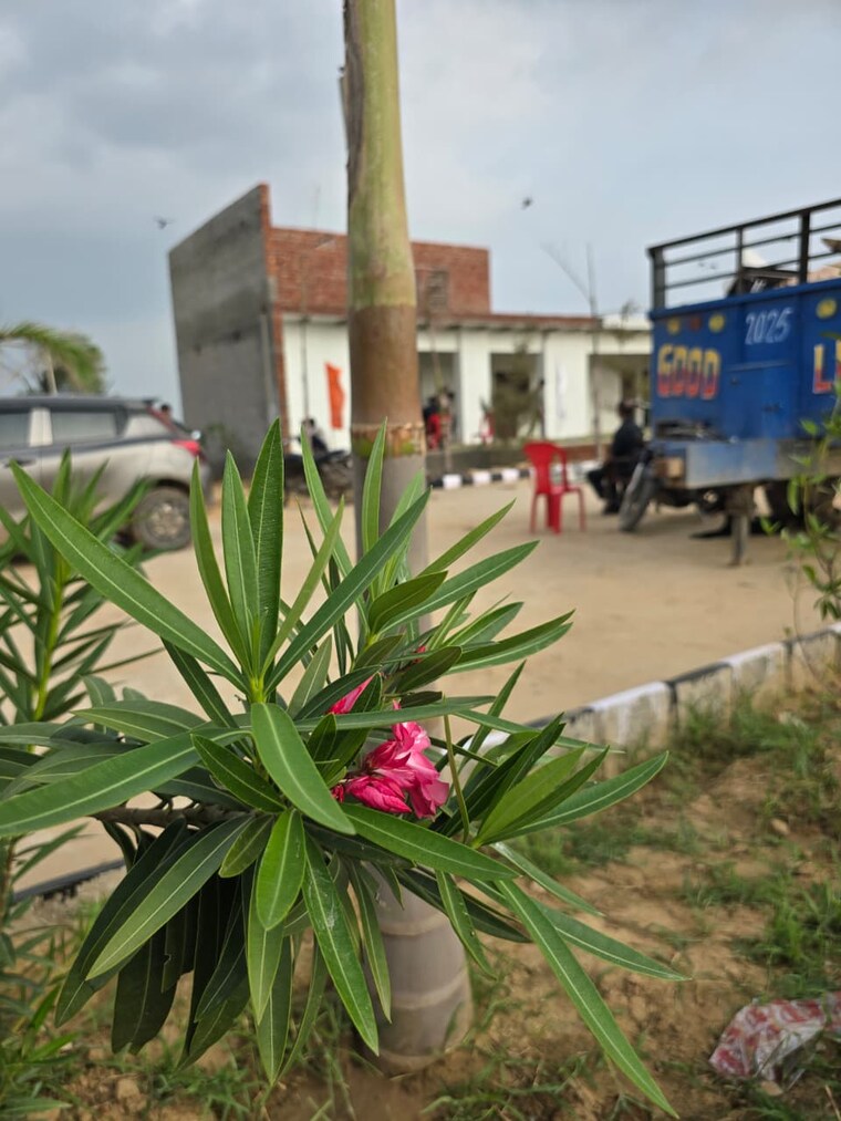 Garden, bamnikhera  137 Sq.Yd. Plot In Bamnikhera Palwal 9023363