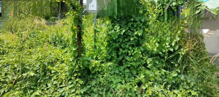 Garden, thrissur road Commercial Land 3921 Sq.Ft. In Thrissur Road Thrissur 9023803