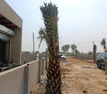 Balcony in  Plot at Jattari – for Sale