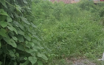 Plot For Sale in Laxman Chowk