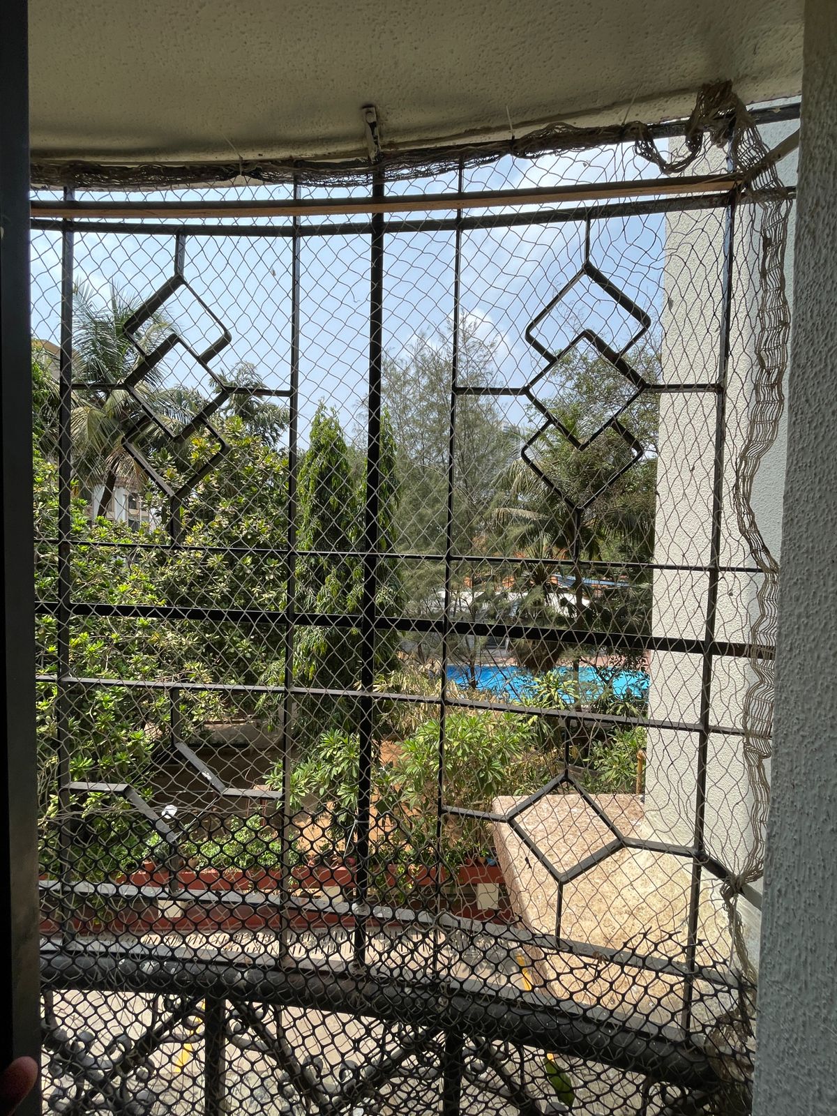 1 BHK Apartment For Rent in Green Hills