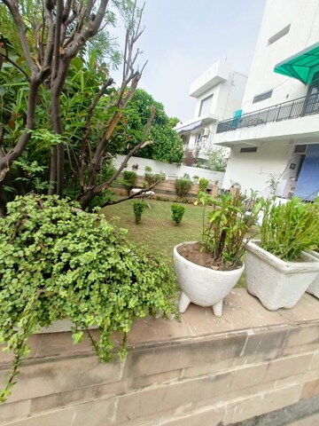 3 BHK Builder Floor For Rent in Greater Kailash I