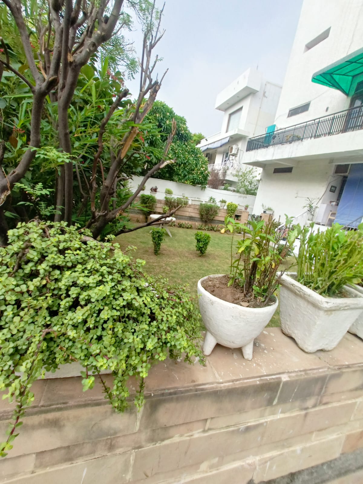 3 BHK Builder Floor For Rent in Greater Kailash I