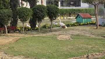 4 BHK Apartment – Garden View at Raj Nagar Extension - for Sale